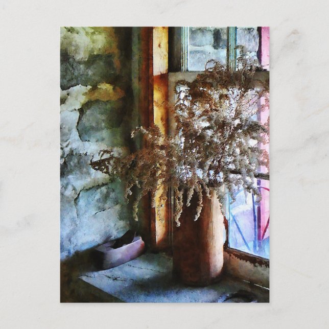 Dried Flowers on Windowsill Postcard (Front)