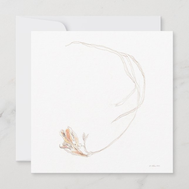 Dried freesia 1 (Front)