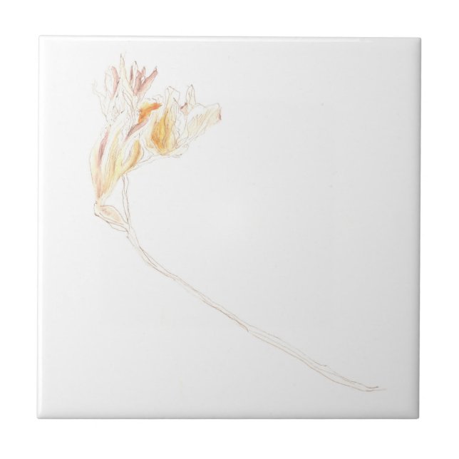 Dried Freesia no.3  Ceramic Tile (Front)