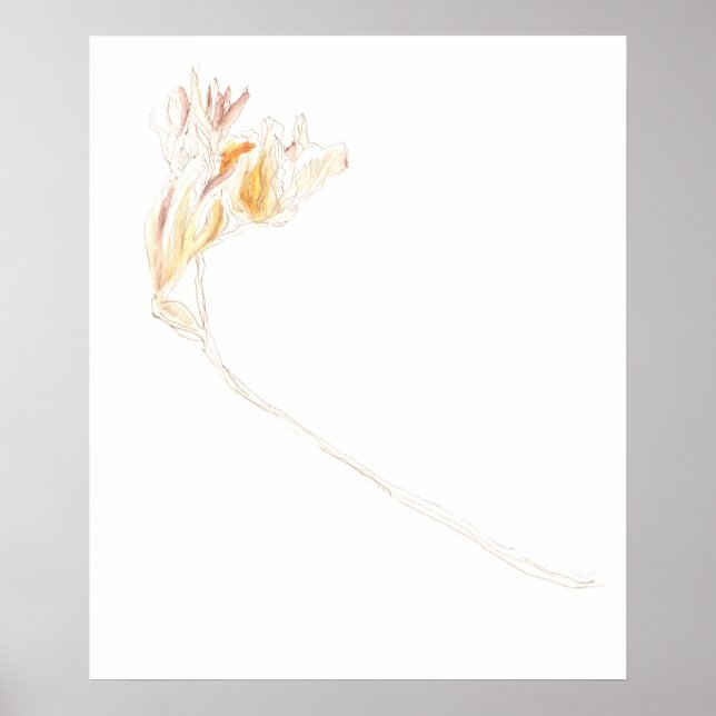 Dried Freesia No. 3 Poster (Front)