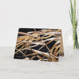 Dried Grases Card