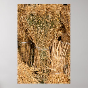 Dried Harmal Poster