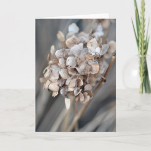 Dried Hydrangea Nature Photography Blank Card