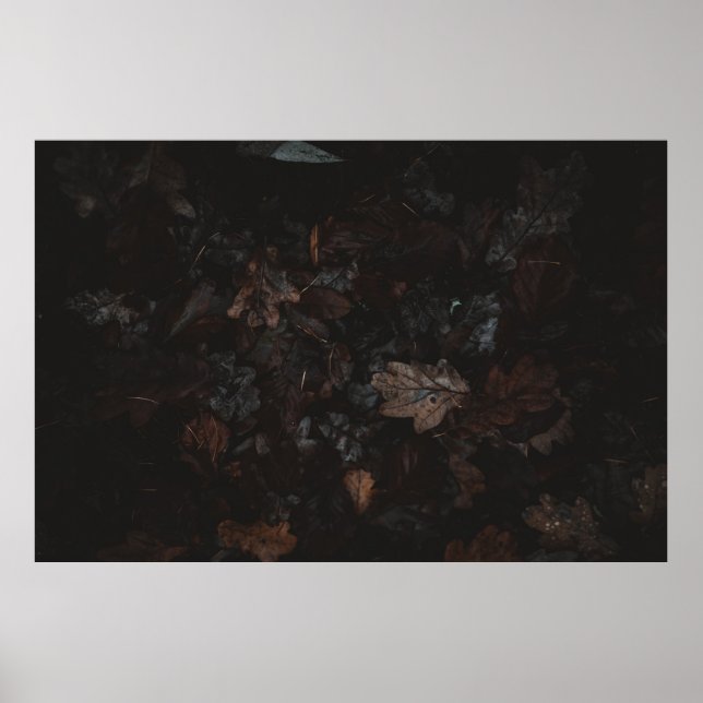 Dried leaves poster (Front)