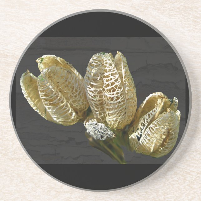 Dried Lily Seed Pods Coaster (Front)