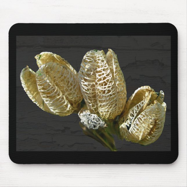 Dried Lily Seed Pods Mouse Pad (Front)