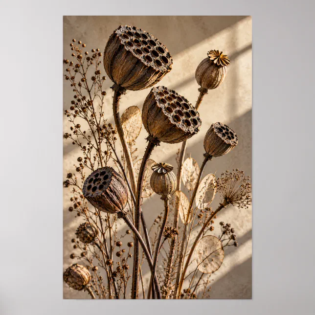 Dried Lotus Seed Pods in Golden Light Botanical Wa Poster | Zazzle