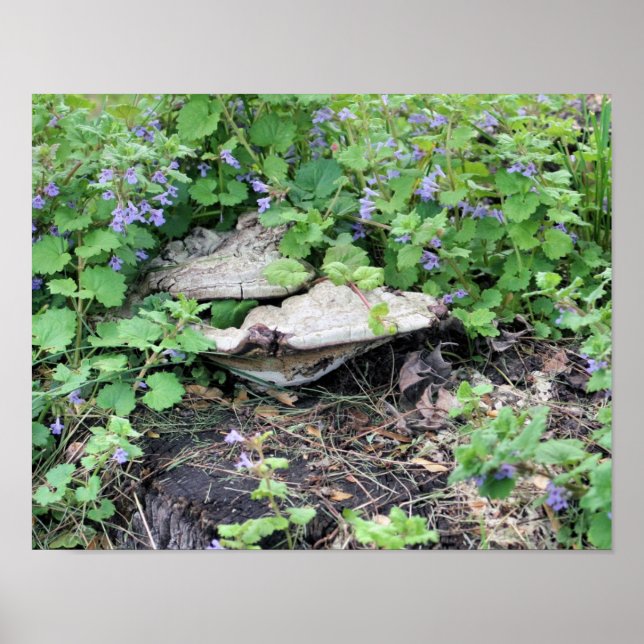 Dried Mushrooms And Flowers On Tree Stump Poster (Front)