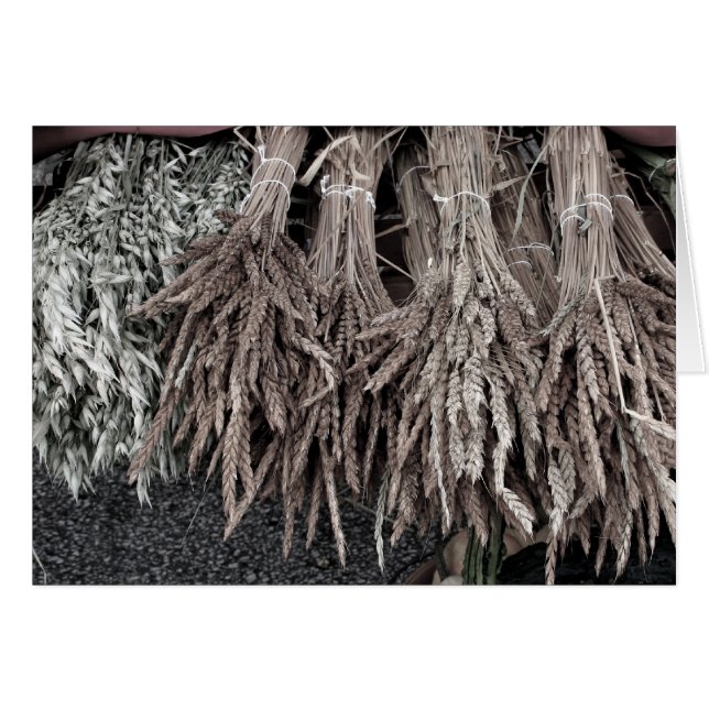 Dried Plants for Decorating (Front Horizontal)