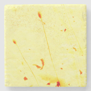 Dried poppy stalks sunprint coaster