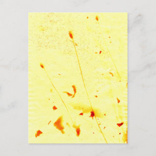 Dried poppy stalks sunprint postcard