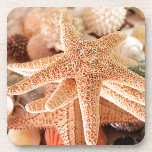 Dried sea stars sold as souvenirs 2 coaster