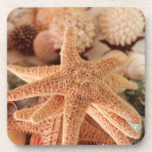 Dried sea stars sold as souvenirs coaster