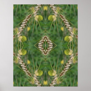 Dried Summer Grass Mirror Abstract   Poster