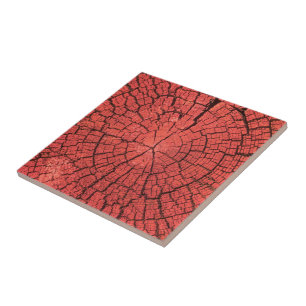 Dried Tree Log Cutaway Pinkish Red Wood Photo Ceramic Tile