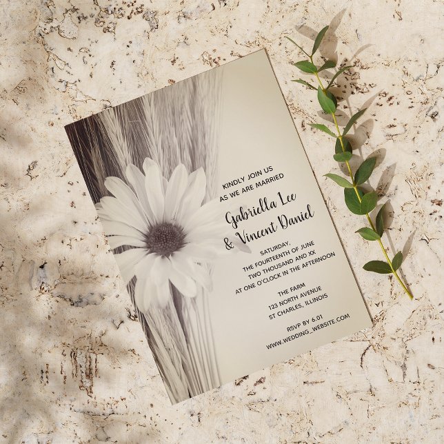 Dried Wheat and Daisy Country Farm Wedding  Invitation (Creator Uploaded)