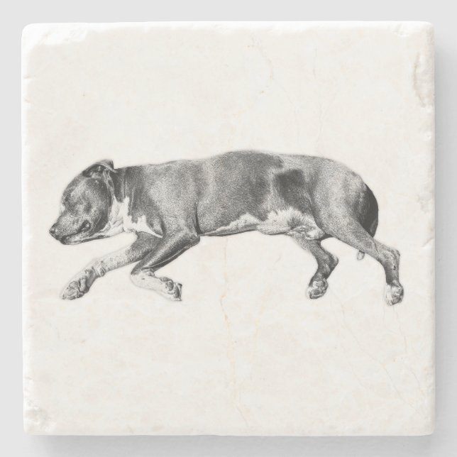 Drift into Calm – Detailed Dog Slumber Stone Coaster (Front)
