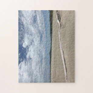 Drifted Wood on Popham Beach Jigsaw Puzzle