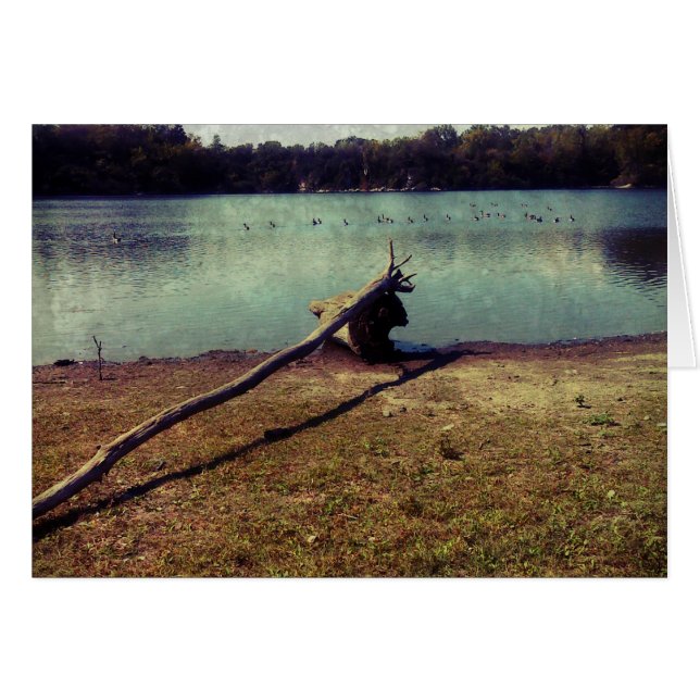 Driftwood (Front Horizontal)