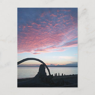 Driftwood Arch Sunset Postcard