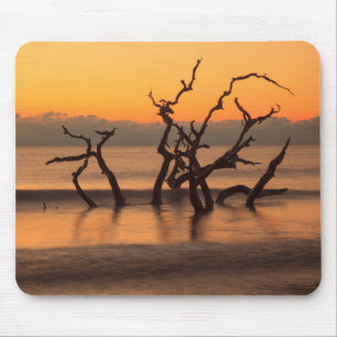 Driftwood Beach at Sunrise Jekyll Island Georgia Mouse Pad