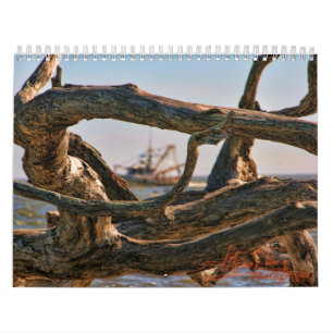 Driftwood Beach calander Calendar