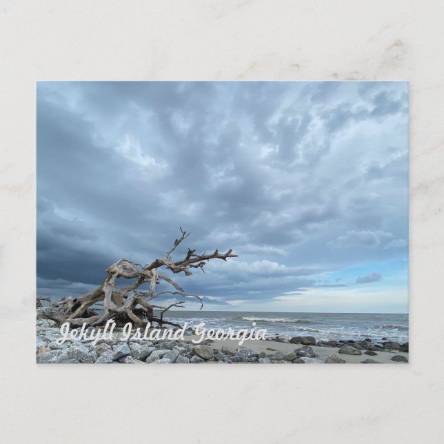Driftwood Beach Postcard (Front)