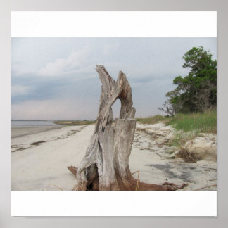 driftwood beach Print