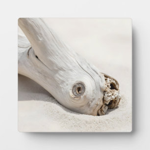 Driftwood Beach Wood Organic Coastal Minimalist Plaque