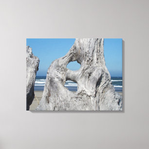 Driftwood Canvas Photography prints Coastal