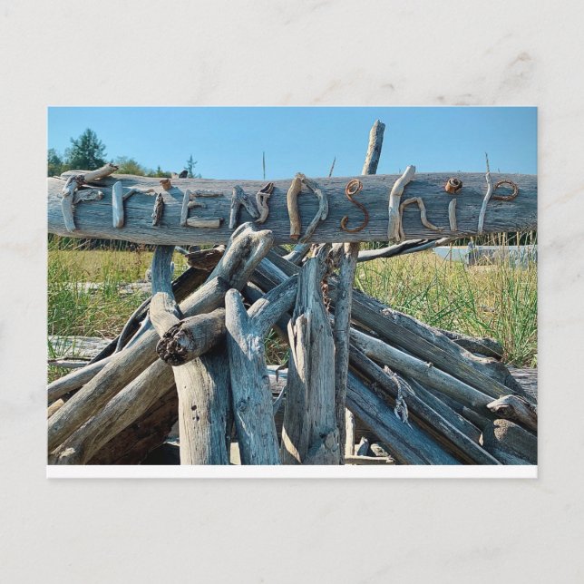 Driftwood Friendship Beach Scene Postcard (Front)
