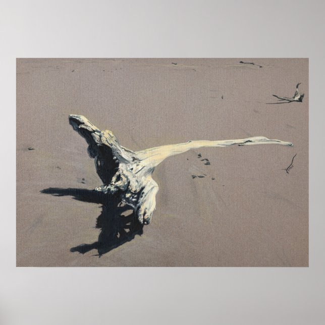 Driftwood in the Sand Poster (Front)