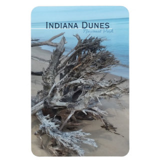 Driftwood Indiana Dunes National Park  Magnet