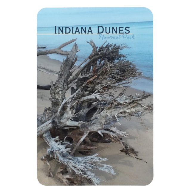 Driftwood Indiana Dunes National Park  Magnet (Vertical)
