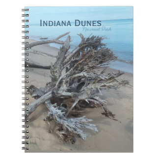 Driftwood Indiana Dunes National Park  Magnet Post Notebook