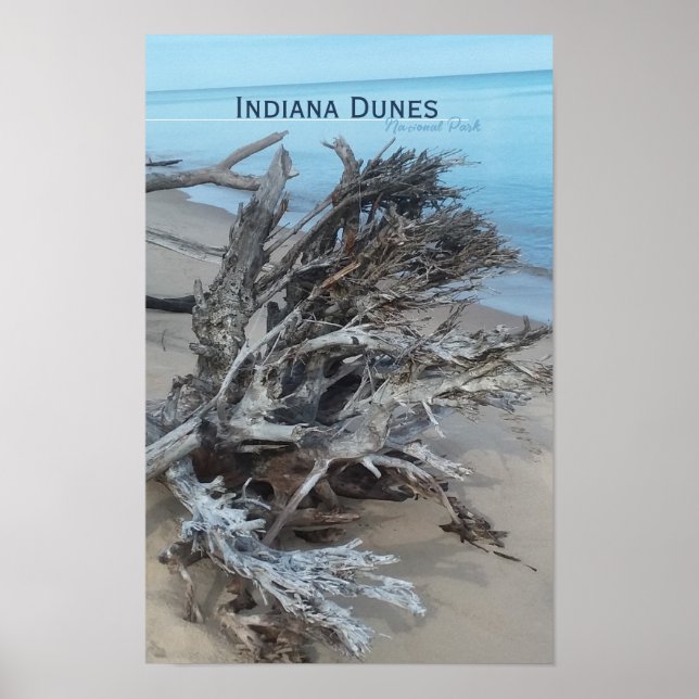 Driftwood Indiana Dunes National Park  Magnet Post Poster (Front)