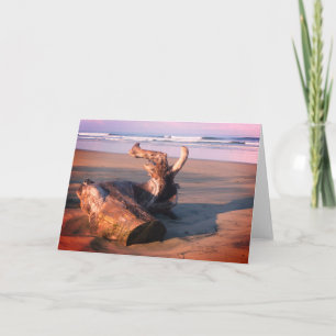 Driftwood Log Costa Rica Beach Photo Greeting Card