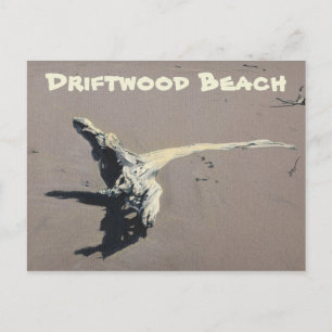 Driftwood on the Beach Postcard