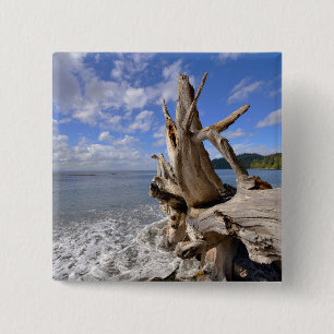Driftwood On The Shoreline Of French Beach 15 Cm Square Badge