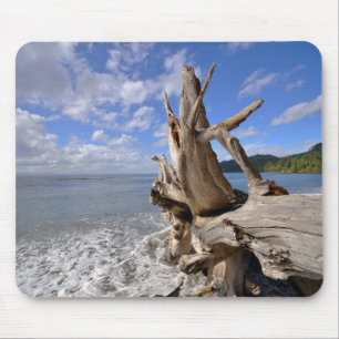 Driftwood On The Shoreline Of French Beach Mouse Pad