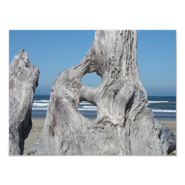 Driftwood Photography prints Ocean Beach waves (Front)