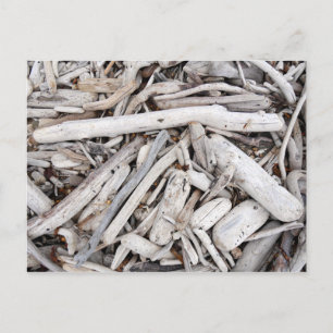 Driftwood Postcard