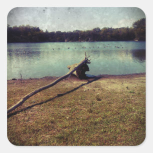 Driftwood Square Sticker