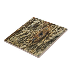 Driftwood Tile