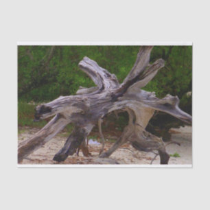 Driftwood Tissue Paper