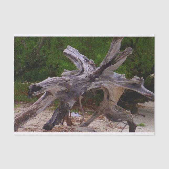 Driftwood Tissue Paper (Front)