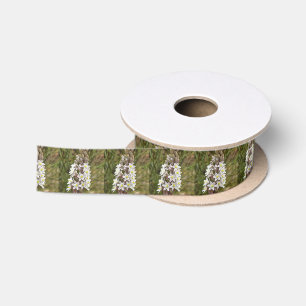 Drimia Maritima Or Island Onion Art Satin Ribbon