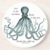 Drink the Wild Air Coaster