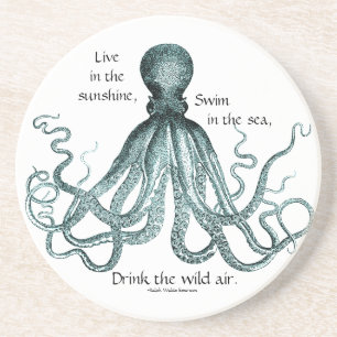Drink the Wild Air Coaster