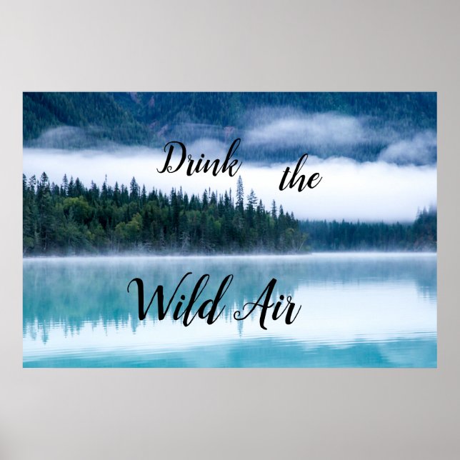 Drink the Wild Air Poster (Front)